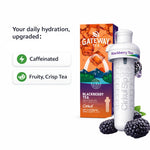 Gateway® Blackberry Tea - US 6761